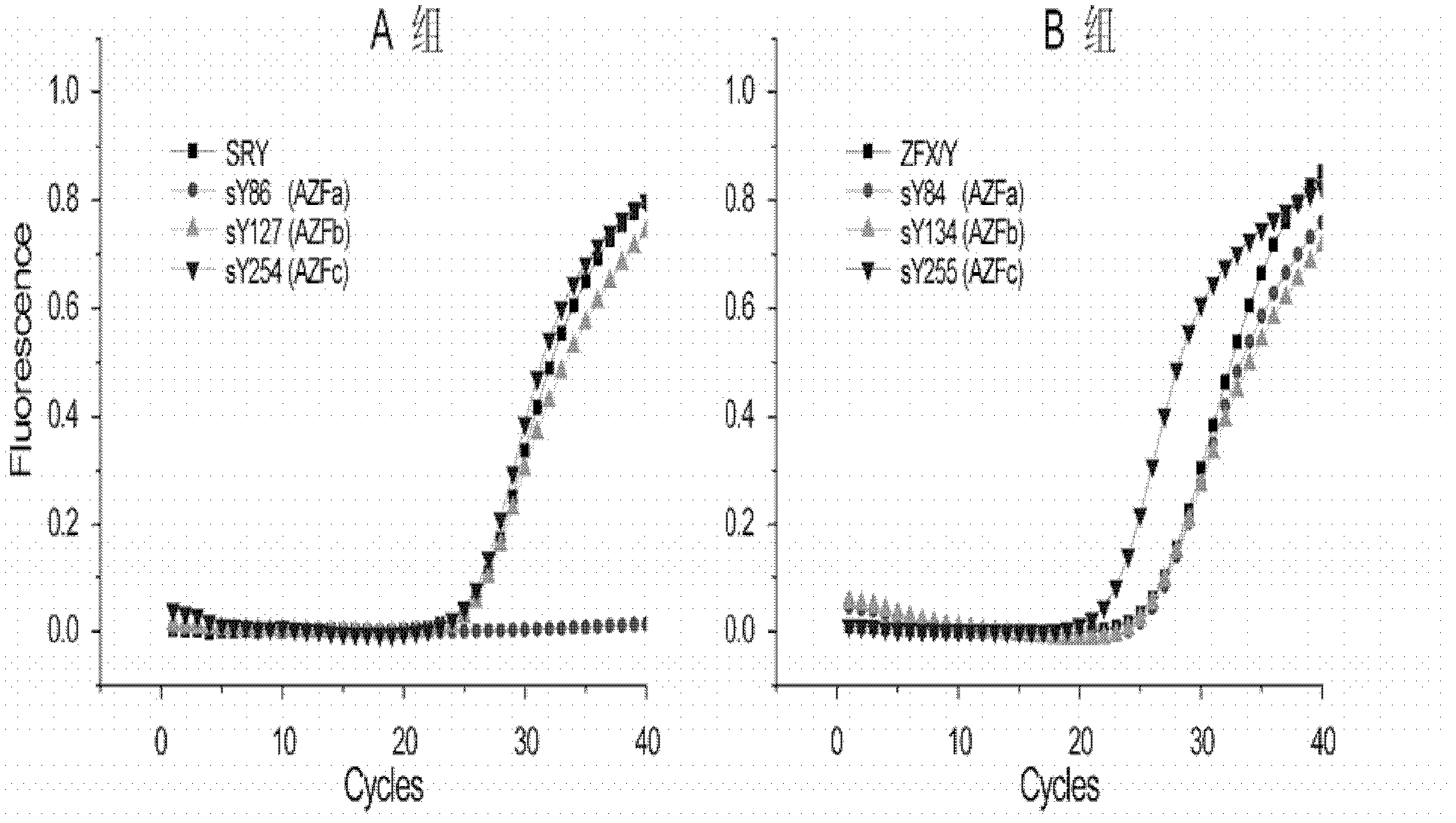 Multiple real-time fluorescent PCR detection kit for Y chromosome microdeletion