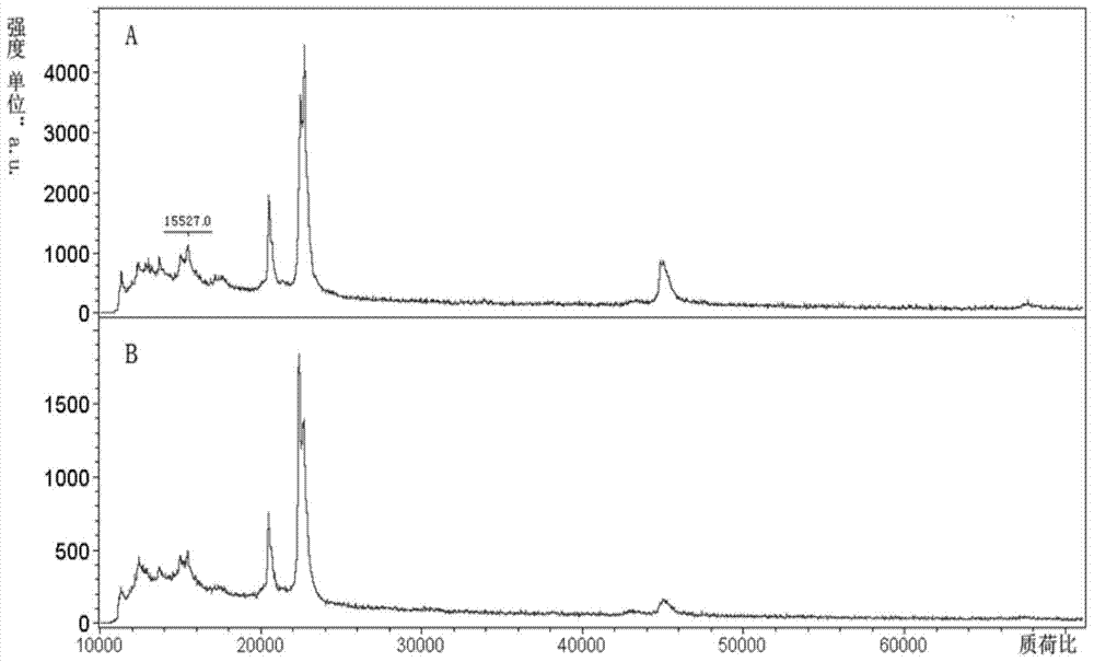 Graphene oxide-recombinant streptococcal protein g composite material and its preparation and application