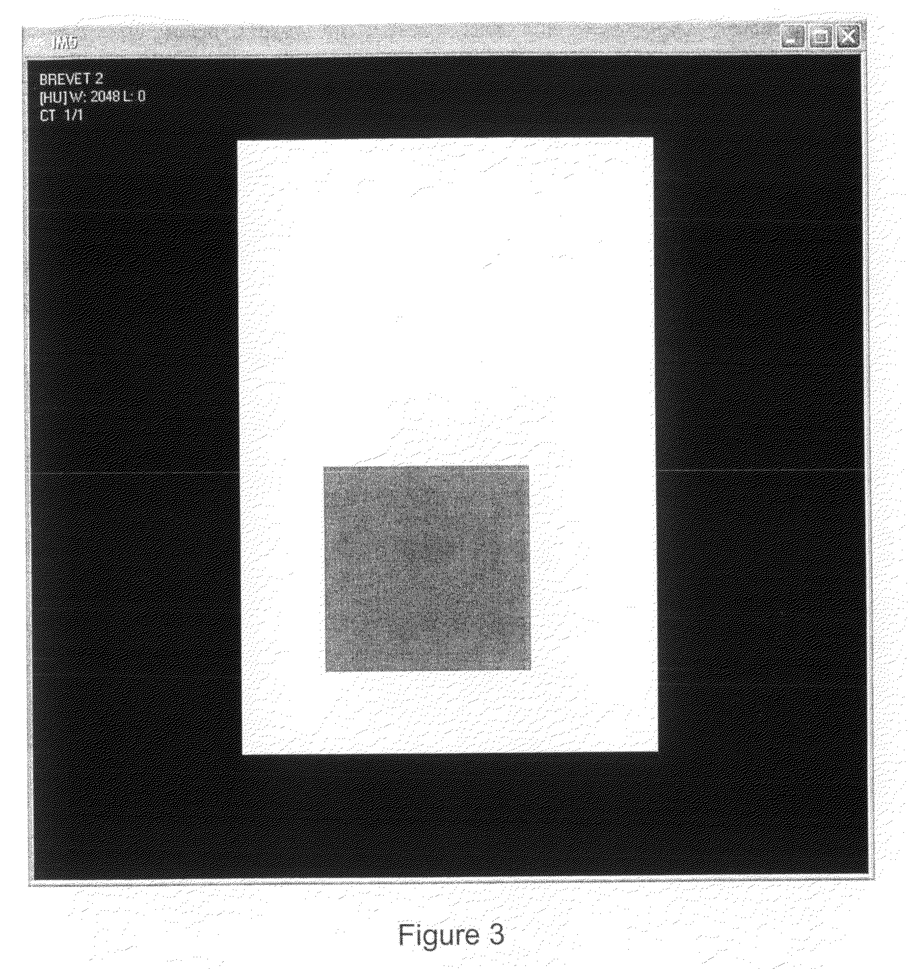 Method for generating digital test objects