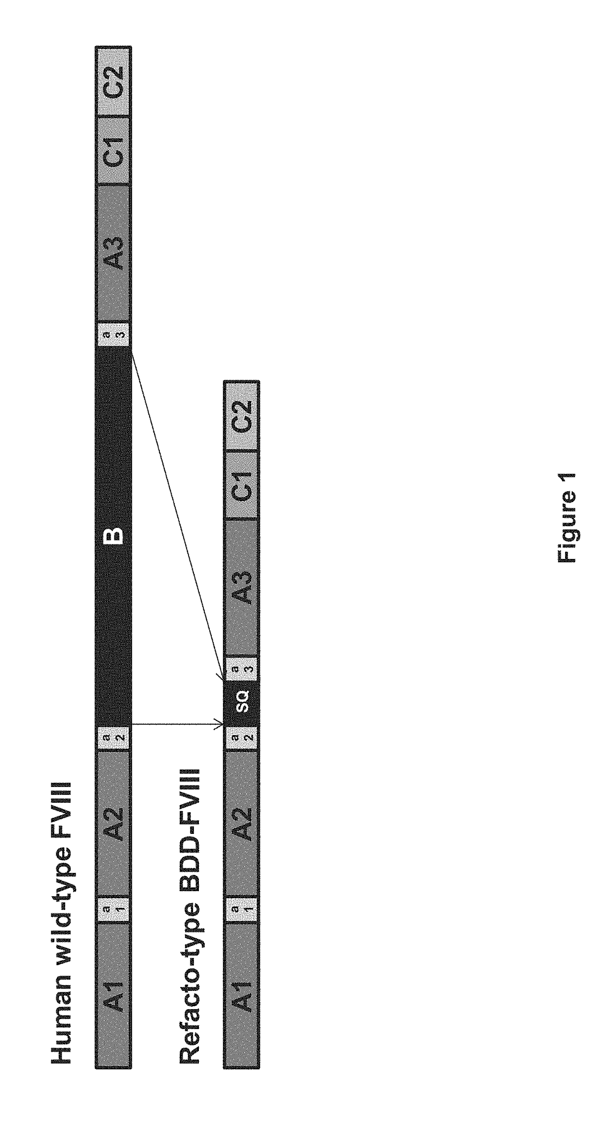 Viral vectors encoding recombinant fviii variants with increased expression for gene therapy of hemophilia  a