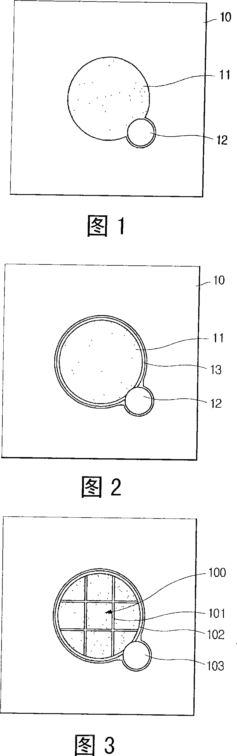 Photodiode having electrode structure for large optical signal receiving area