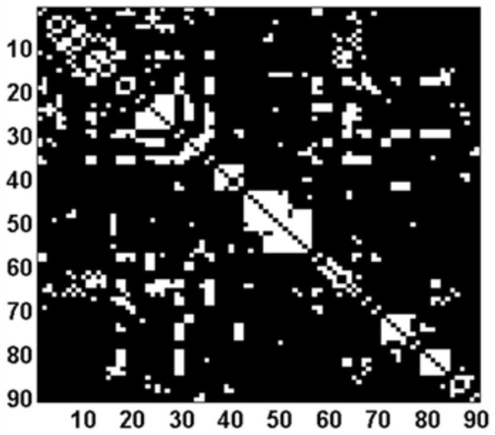 Computer classification polygraph recognition method based on fmri small world brain network