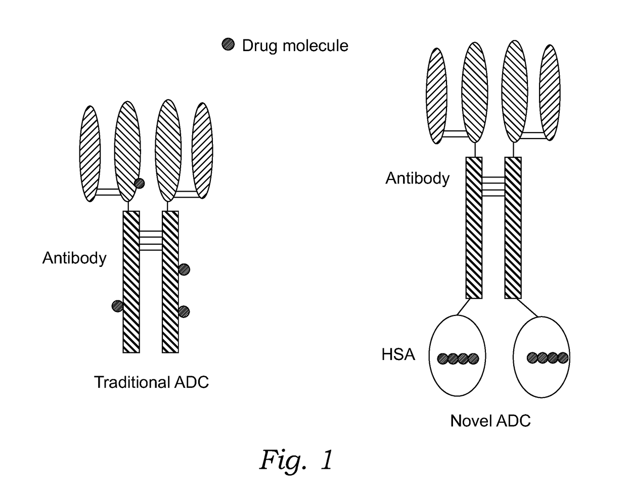 Novel antibody-albumin-drug conjugates (AADC) and methods for using them