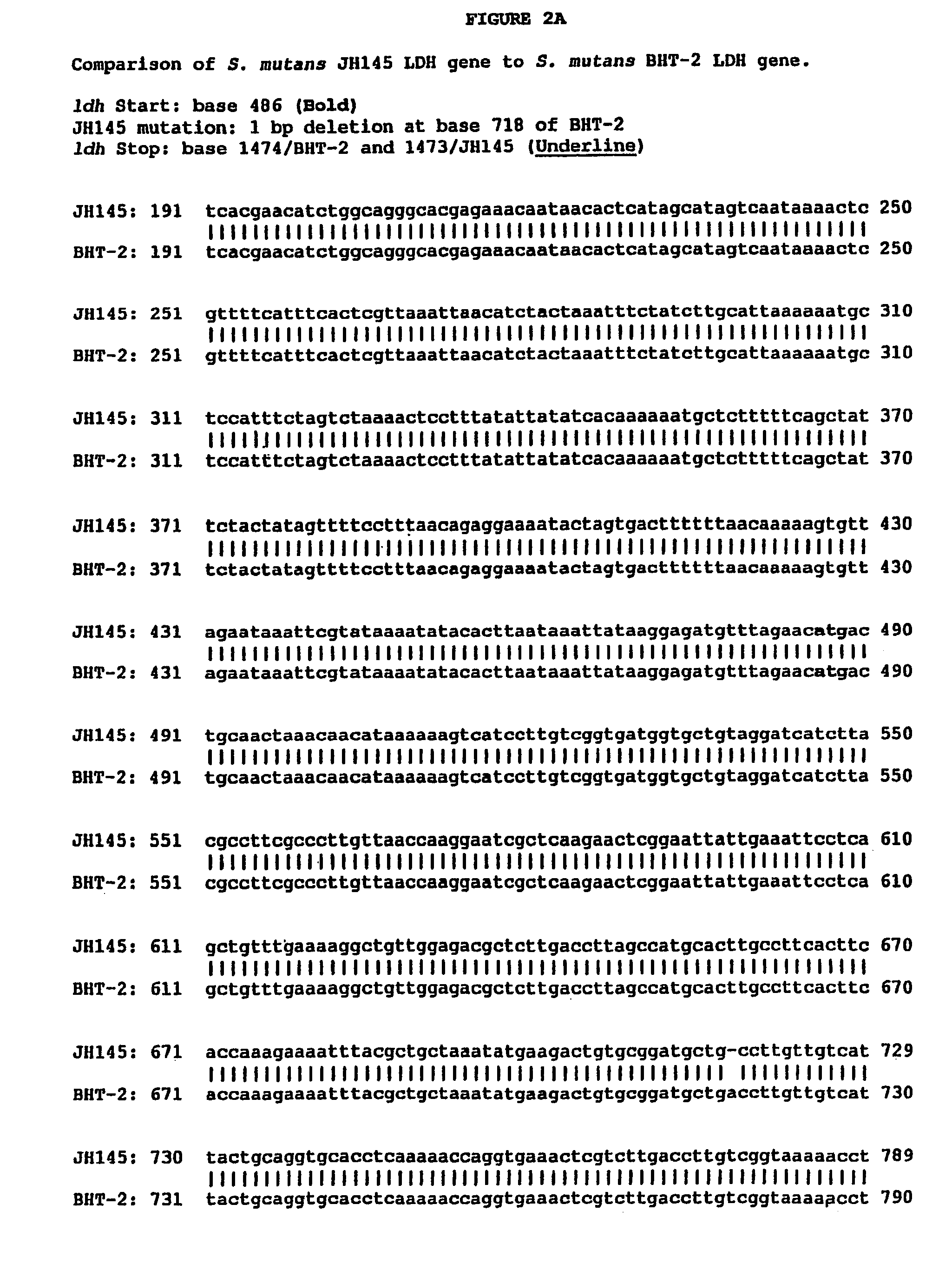 Compositions and methods for the maintenance of oral health