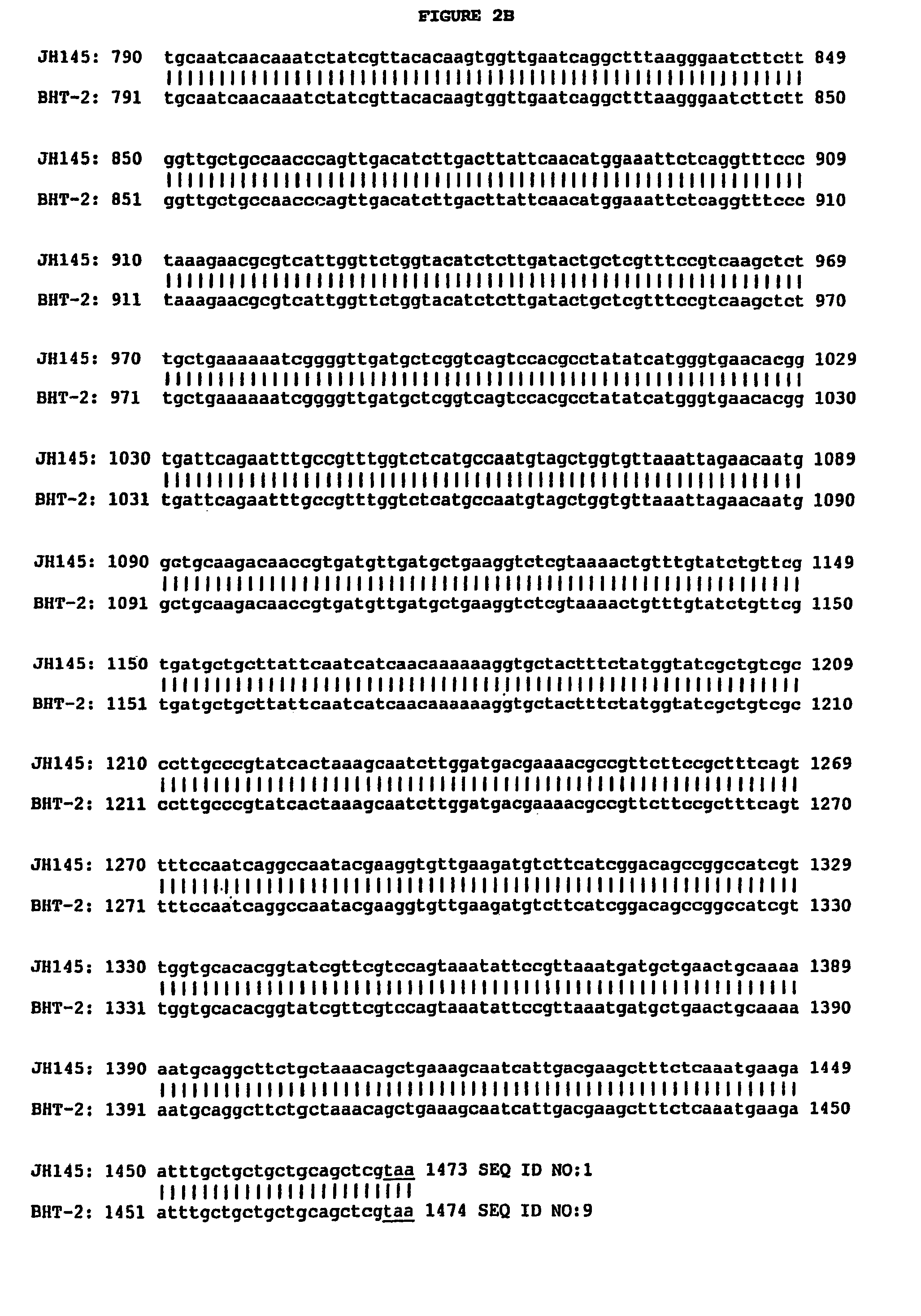 Compositions and methods for the maintenance of oral health