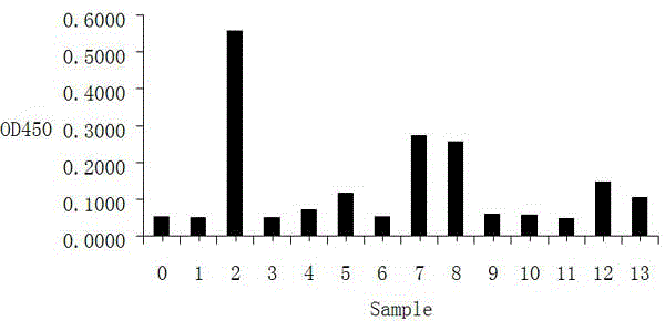 A kind of preparation method of separating memory B cells in vitro