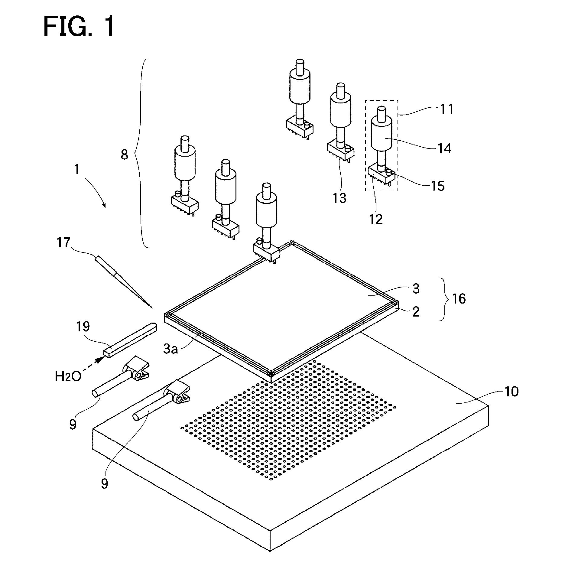 Separation apparatus for thin film stacked body