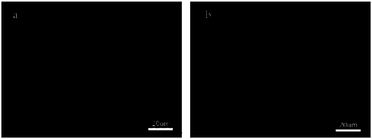 Preparation method of biogenic small-aperture tissue engineering blood vessels