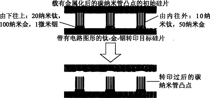 Low-temperature transfer printing method used for microelectronically packaged carbon nanotube bumps