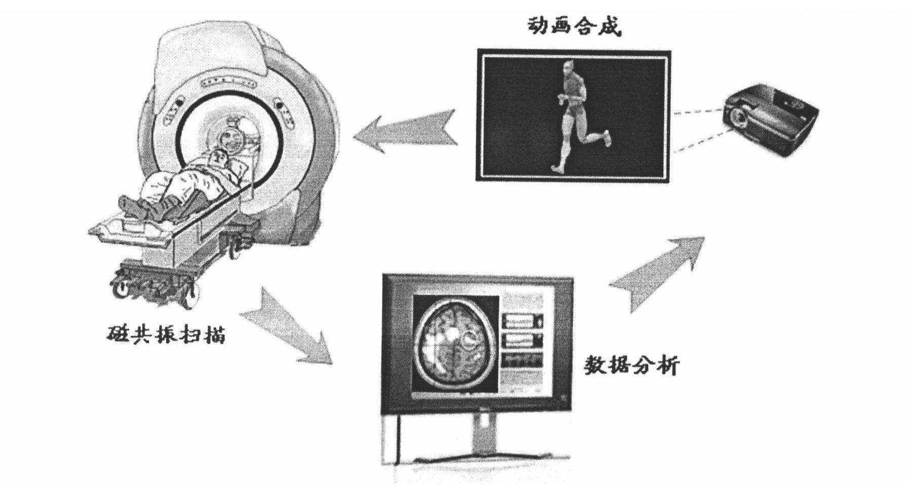 Sports cartoon interaction system based on magnetic resonance signal control