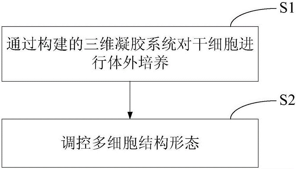 Preparation method and preparation system of multi-cell structure on basis of reaction-diffusion model