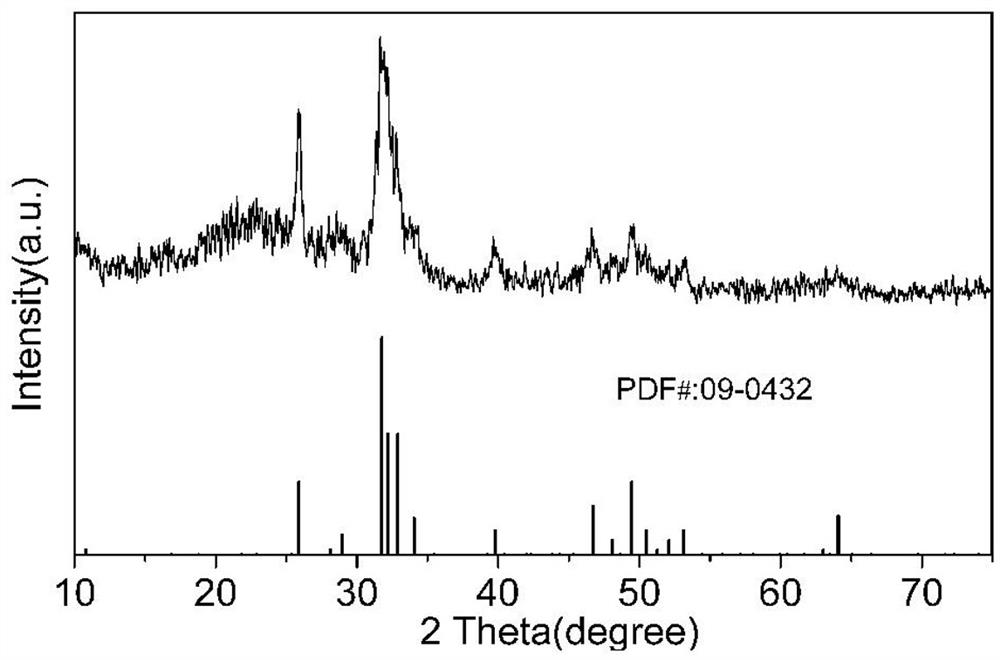 Biodegradable fluorescent mesoporous silica composite nanosphere and preparation method thereof