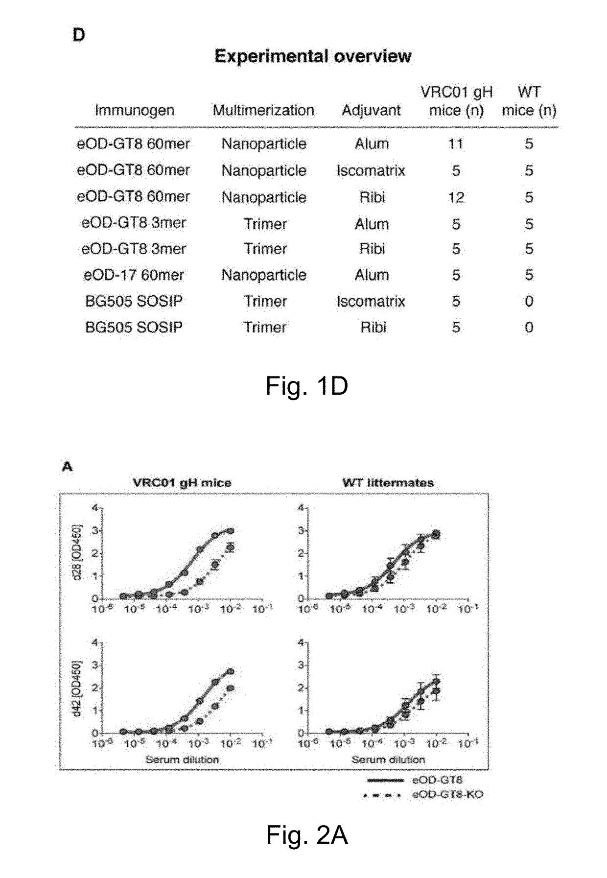 Engineered outer domain (EOD) of HIV gp120, mutants and use thereof