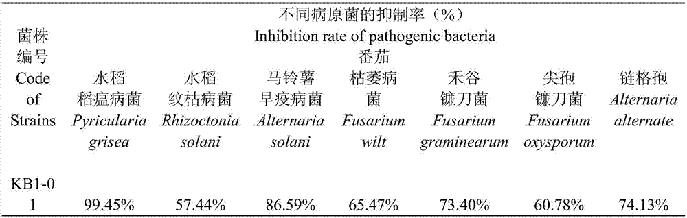 A kind of bacillus amyloliquefaciens preparation and application thereof