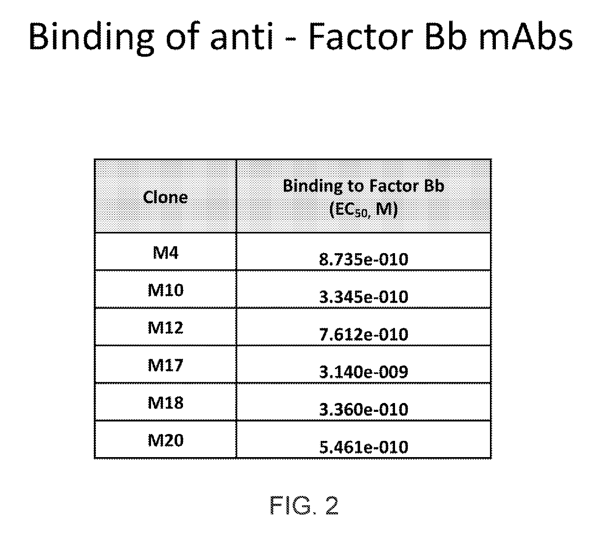 Anti-complement factor bb antibodies and uses thereof