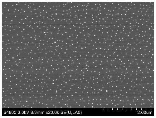 Preparation method of anti-mosquito and anti-bacterial function compound dacron fabric