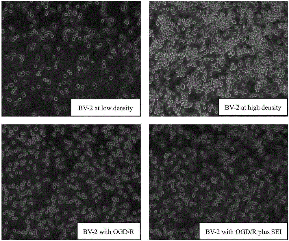 Application of senkyunolide I (SEI) in preparation of medicaments for treating central nervous system neurodegenerative diseases