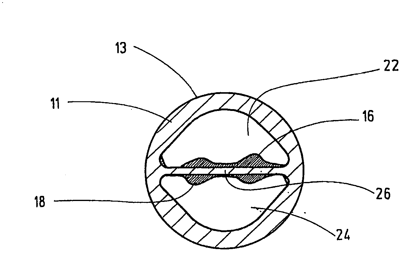 Double lumen catheter