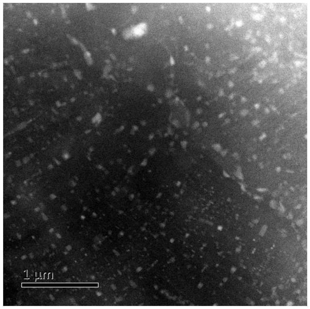 Low-cost wrought magnesium alloy strengthened by light rare earth elements Ce and Sm and preparation method of low-cost wrought magnesium alloy