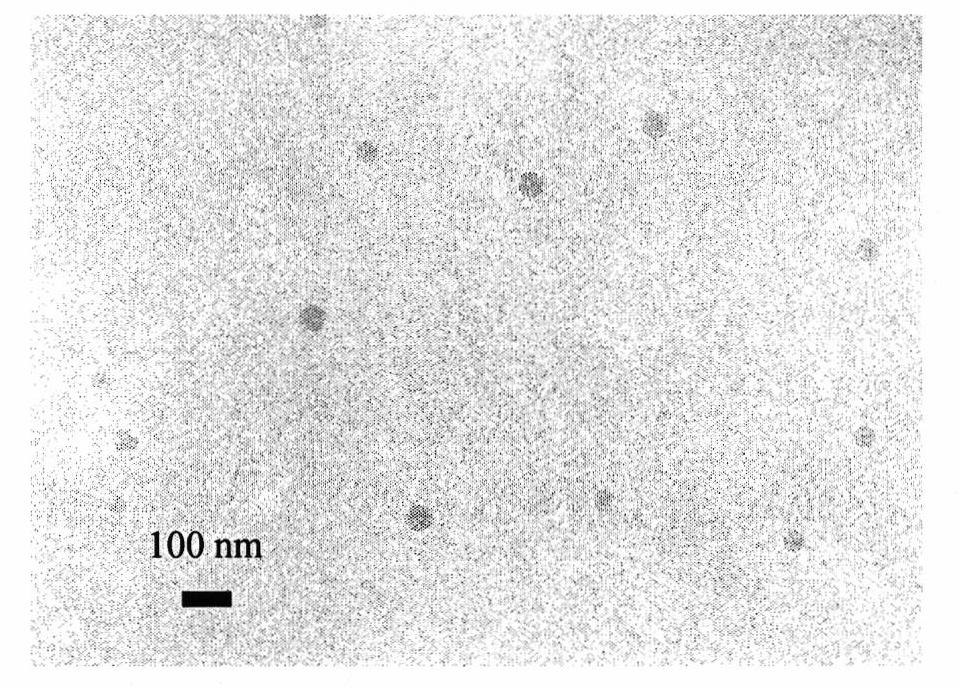 Photoluminescent nano particle as well as preparation method and application thereof
