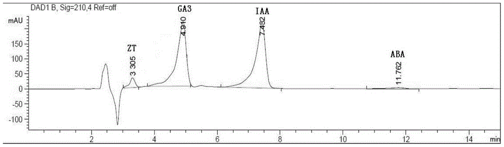 A method for measuring the content of endogenous hormones in tomato plant terminal buds