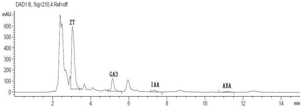 A method for measuring the content of endogenous hormones in tomato plant terminal buds