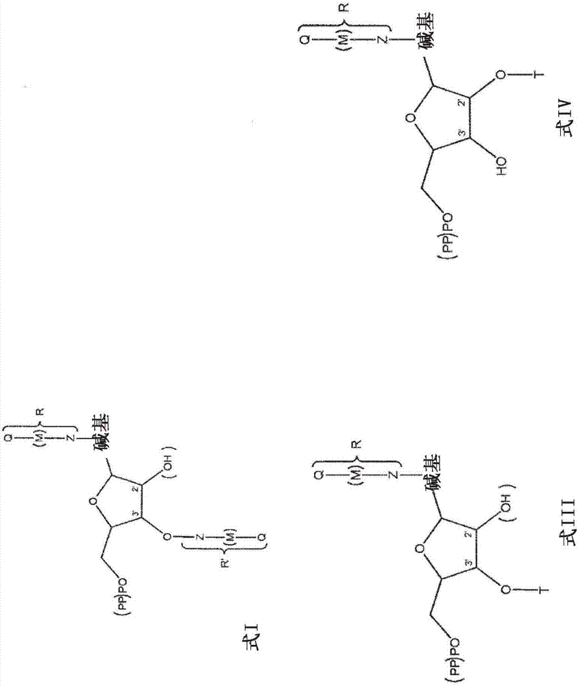 Modified nucleotides for synthesis of nucleic acids, a kit containing such nucleotides and their use for the production of synthetic nucleic acid sequences or genes