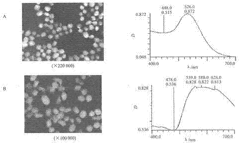 Testing device for quantitatively detecting soluble growth stimulation expression protein 2