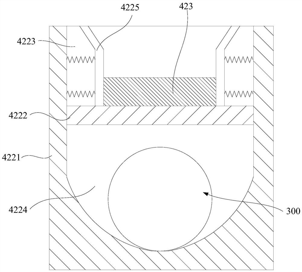 Animal impact test system