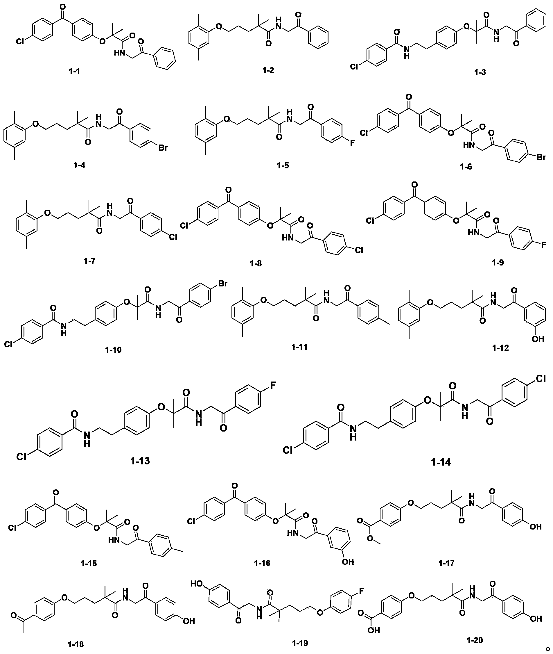 Amide compound and preparation method, medicinal composition and application thereof