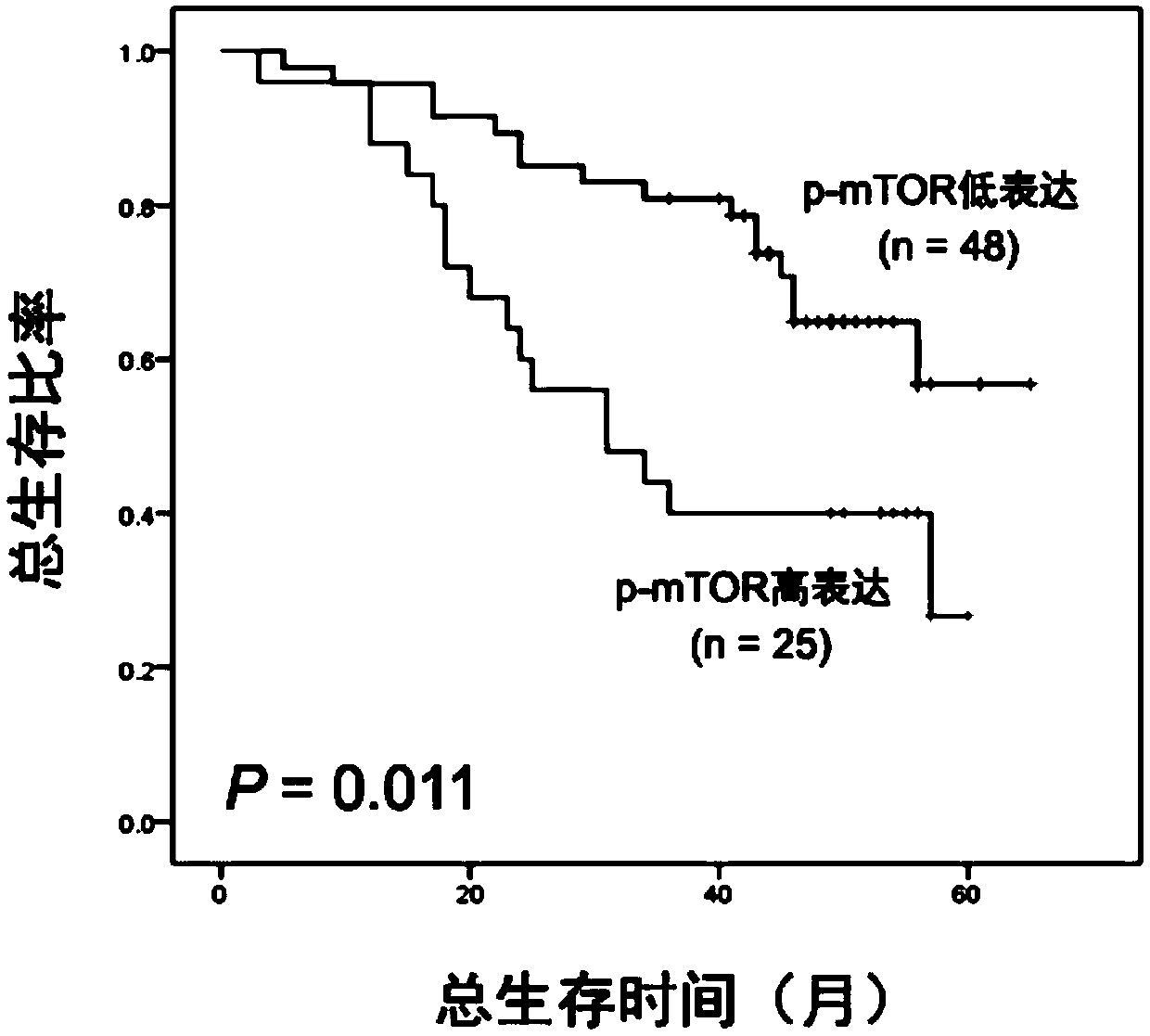 Application of protein marker or a combination thereof in prognosis judgment of colorectal cancer