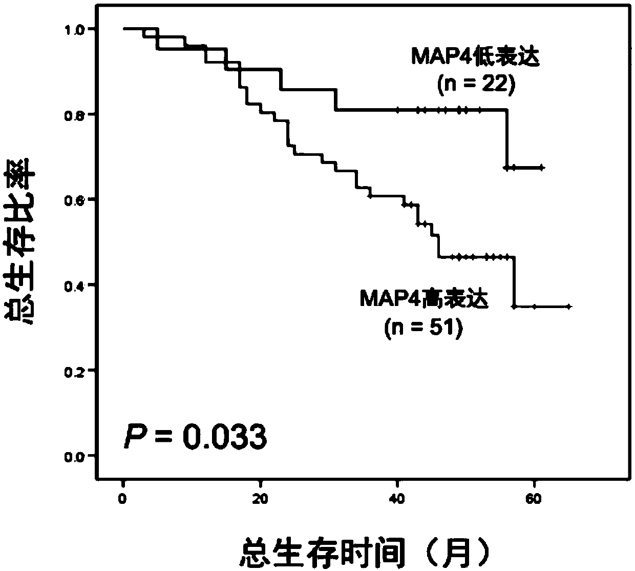 Application of protein marker or a combination thereof in prognosis judgment of colorectal cancer