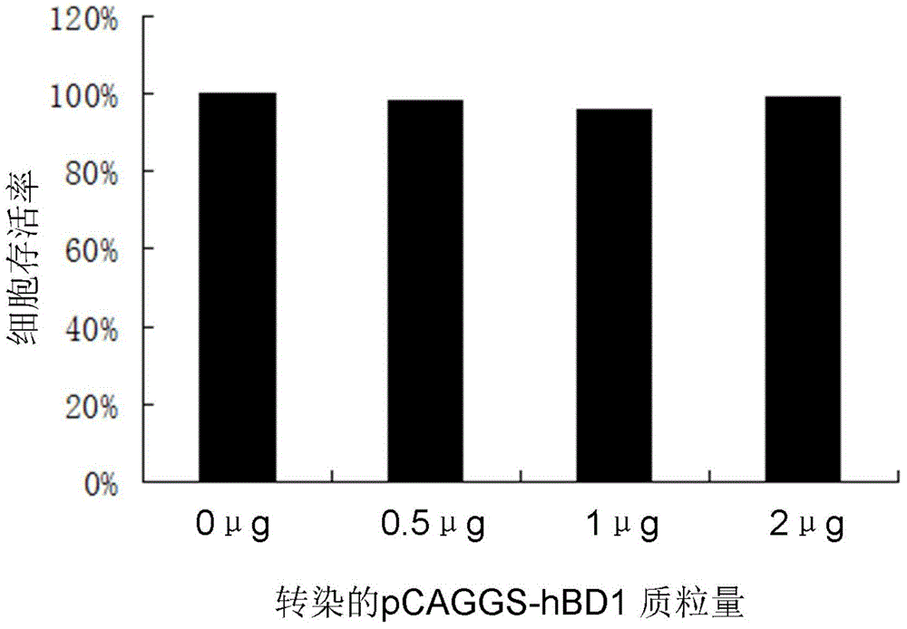 Use of human beta-defensin-1 in preparation of drugs for treating or preventing hepatitis B virus infection