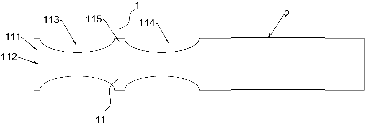 Sodium ion concentration optical fiber sensor