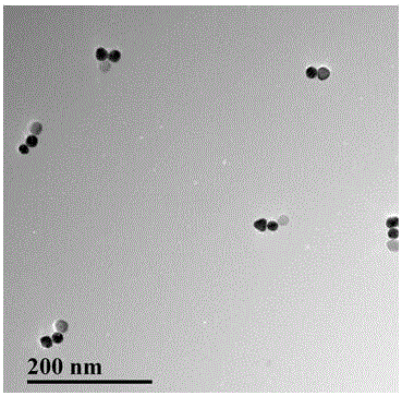 Preparation method and application of gold-upconversion nanoparticle tripolymer