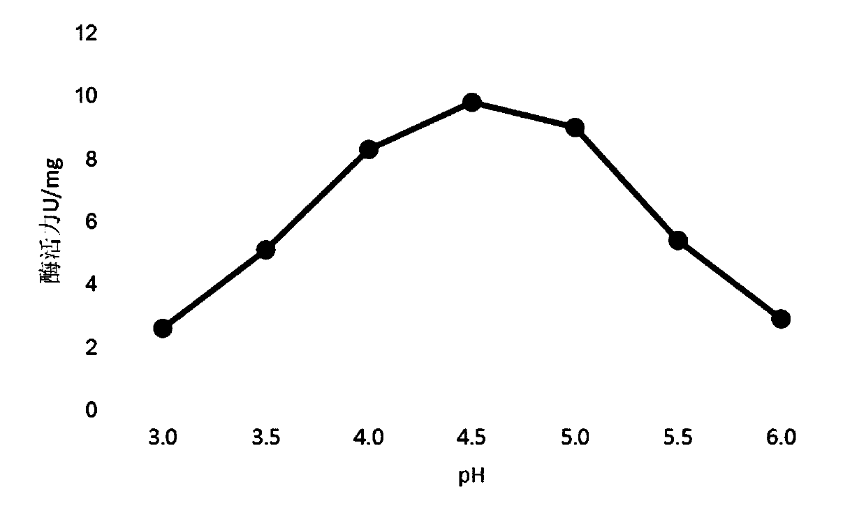 Method of enzymatic degradation of 4-aminosalicylic acid