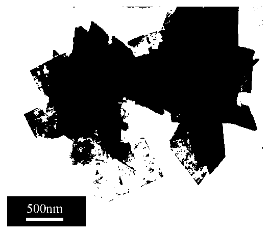 Method for preparing sodium bismuth titanate nanometer sheet