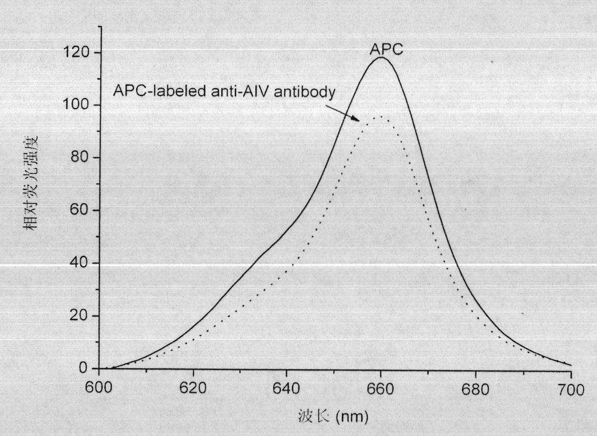 Method for preparing fluorescent antibody for detecting avian influenza virus and solid phase immunofluorescence detection kit