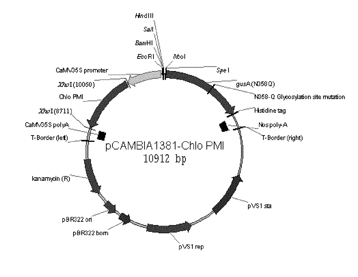 Chlorella variabilis-derived phosphomannose isomerase gene and application thereof