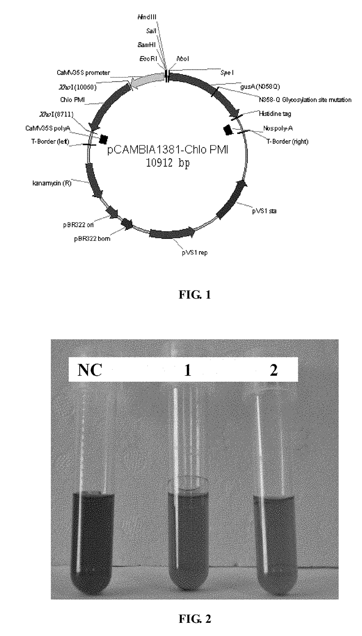 Chlorella variabilis-derived phosphomannose isomerase gene and application thereof