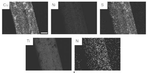A memory alloy esophageal stent modified by nano-copper sulfide coating and its preparation method