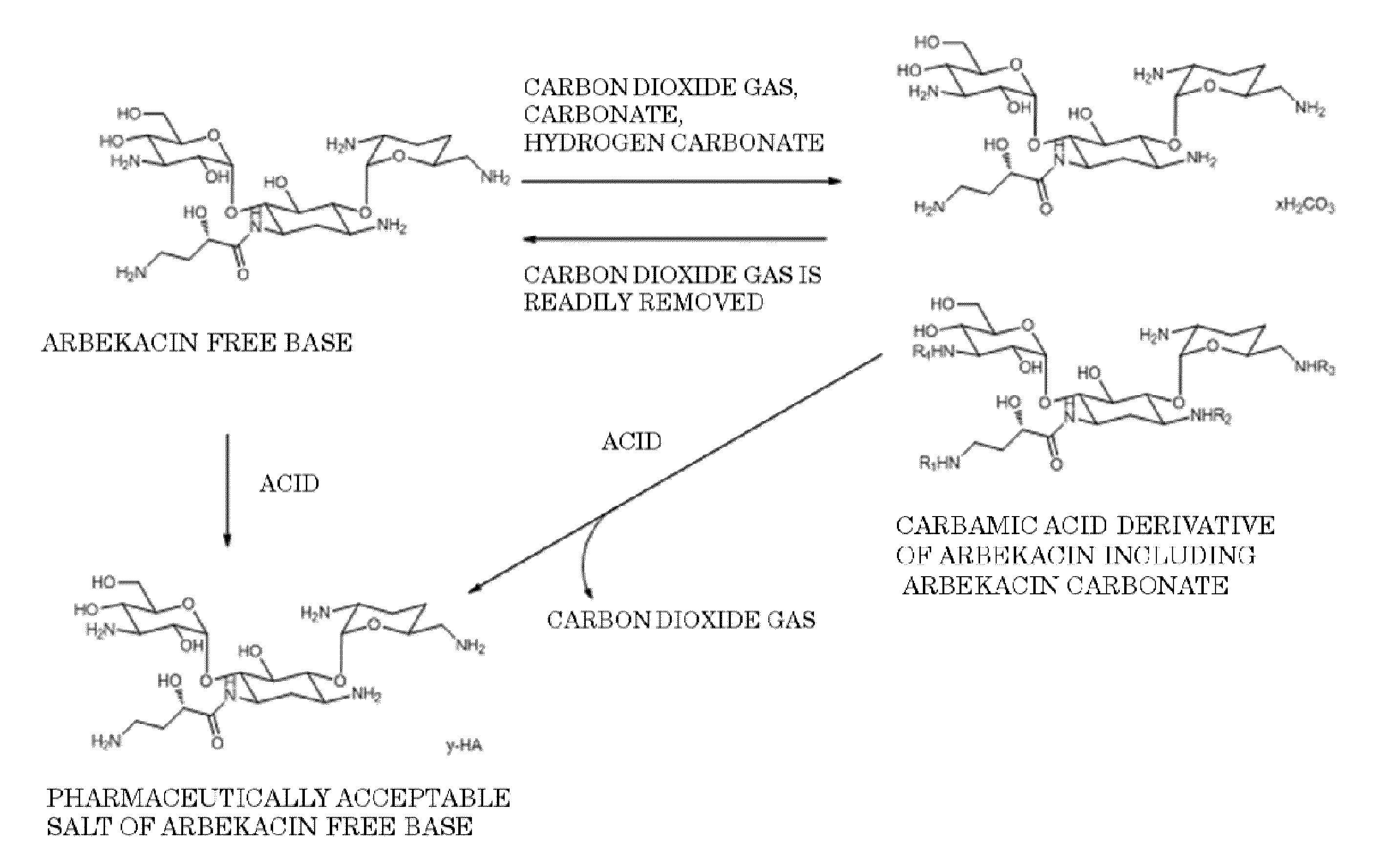 Arbekacin derivative, and production and use thereof