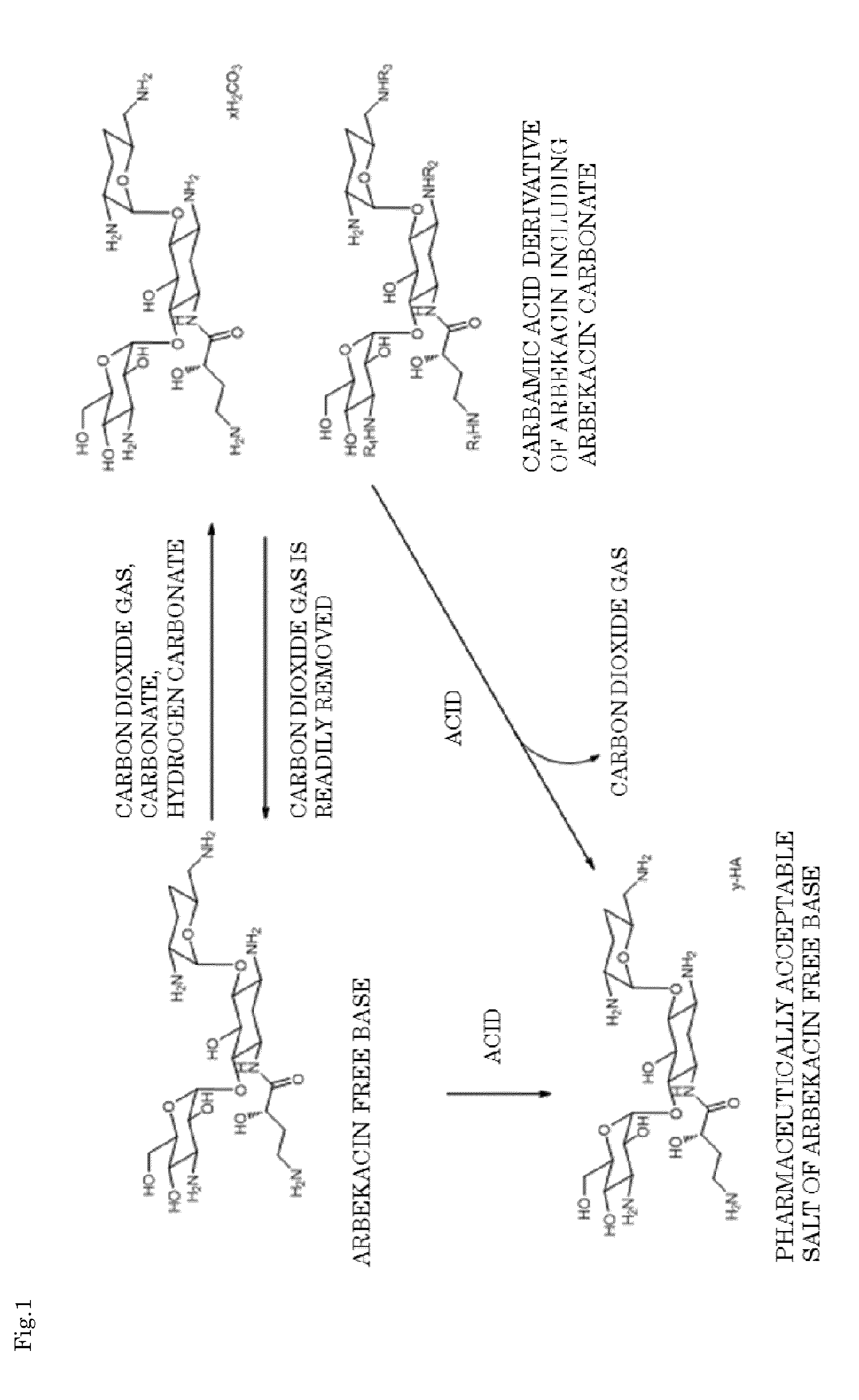 Arbekacin derivative, and production and use thereof