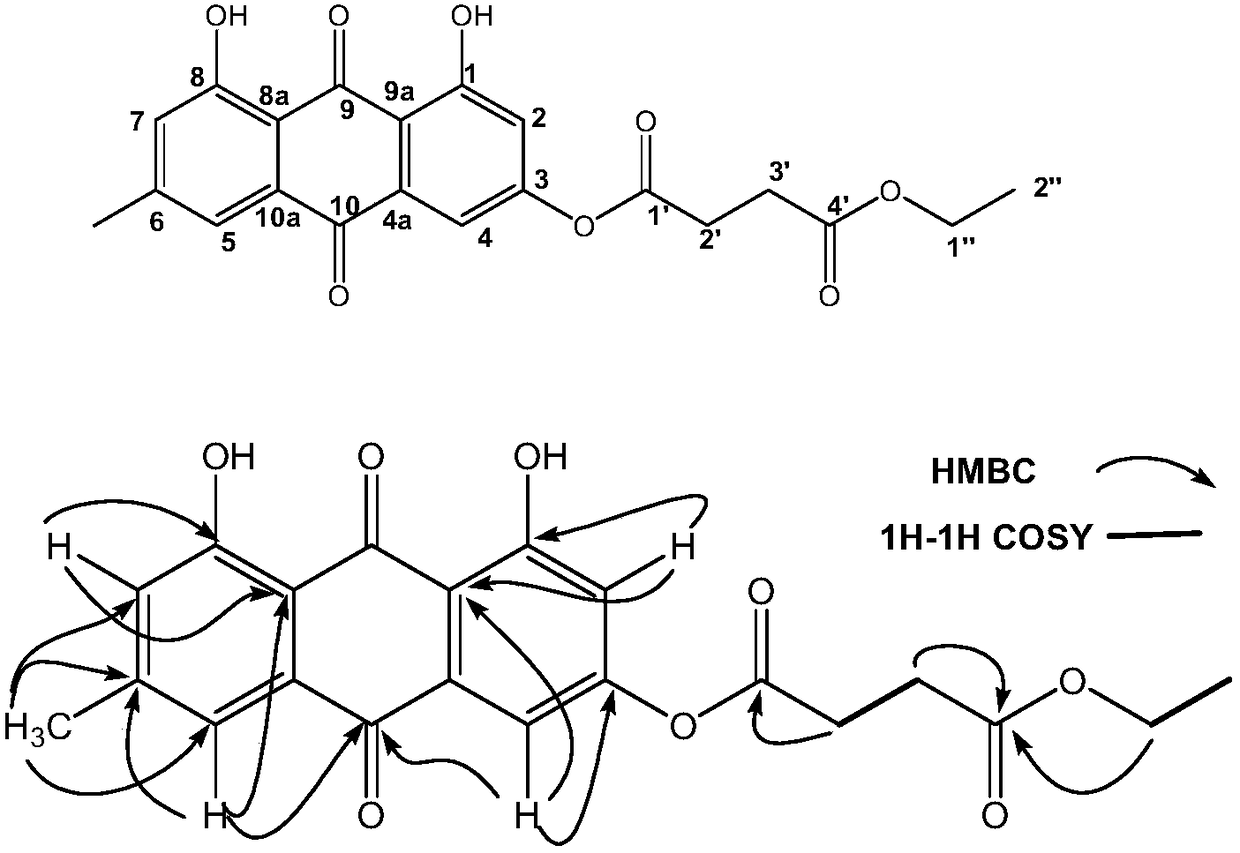 Applications of emodin succinyl ester compound in preparing lipid-lowering medicines