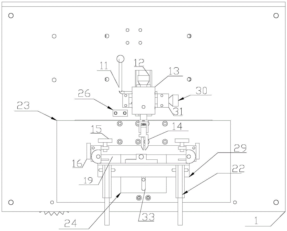 Ampoule printing device