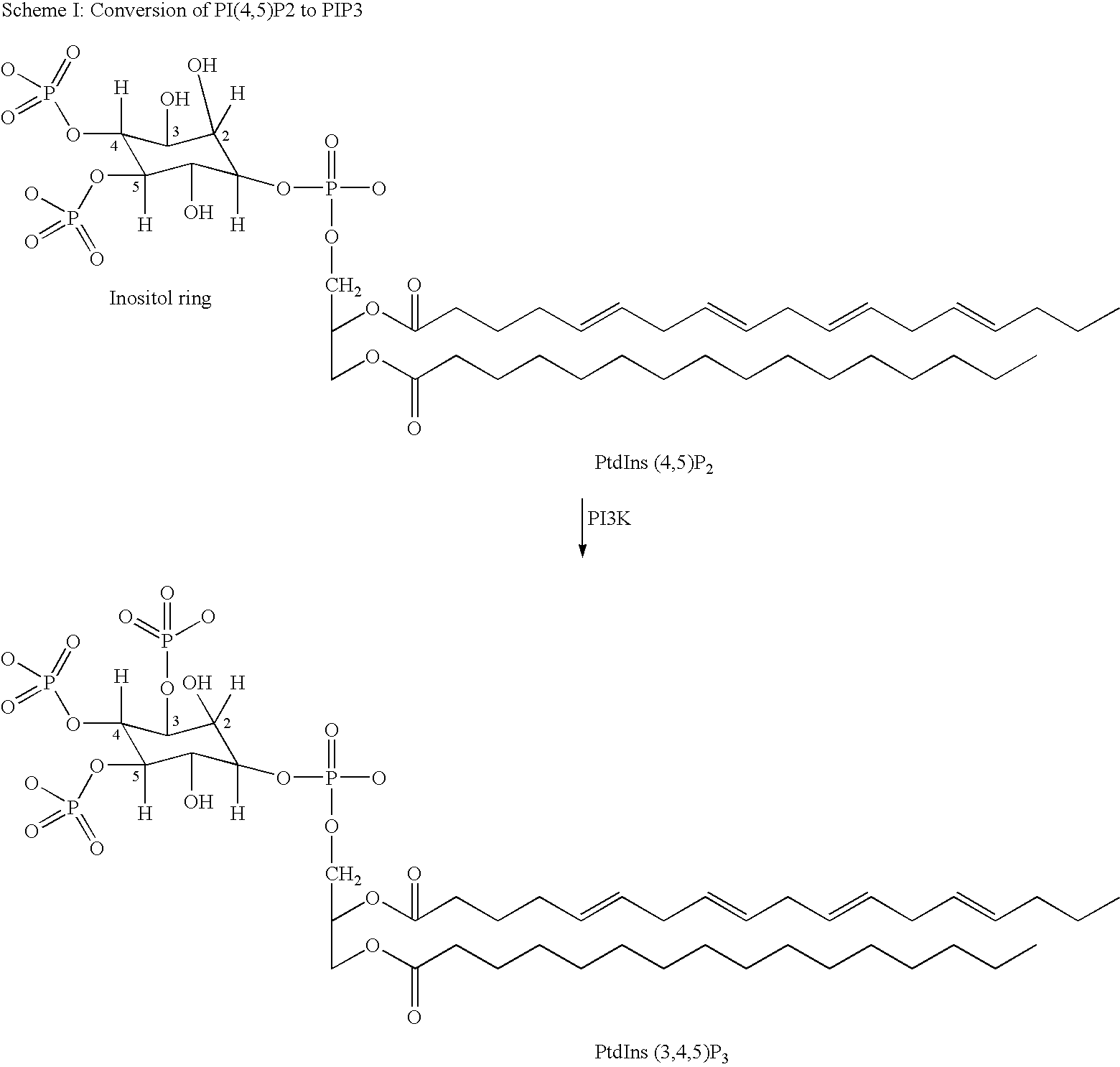 Naphthyridine, derivatives as p13 kinase inhibitors