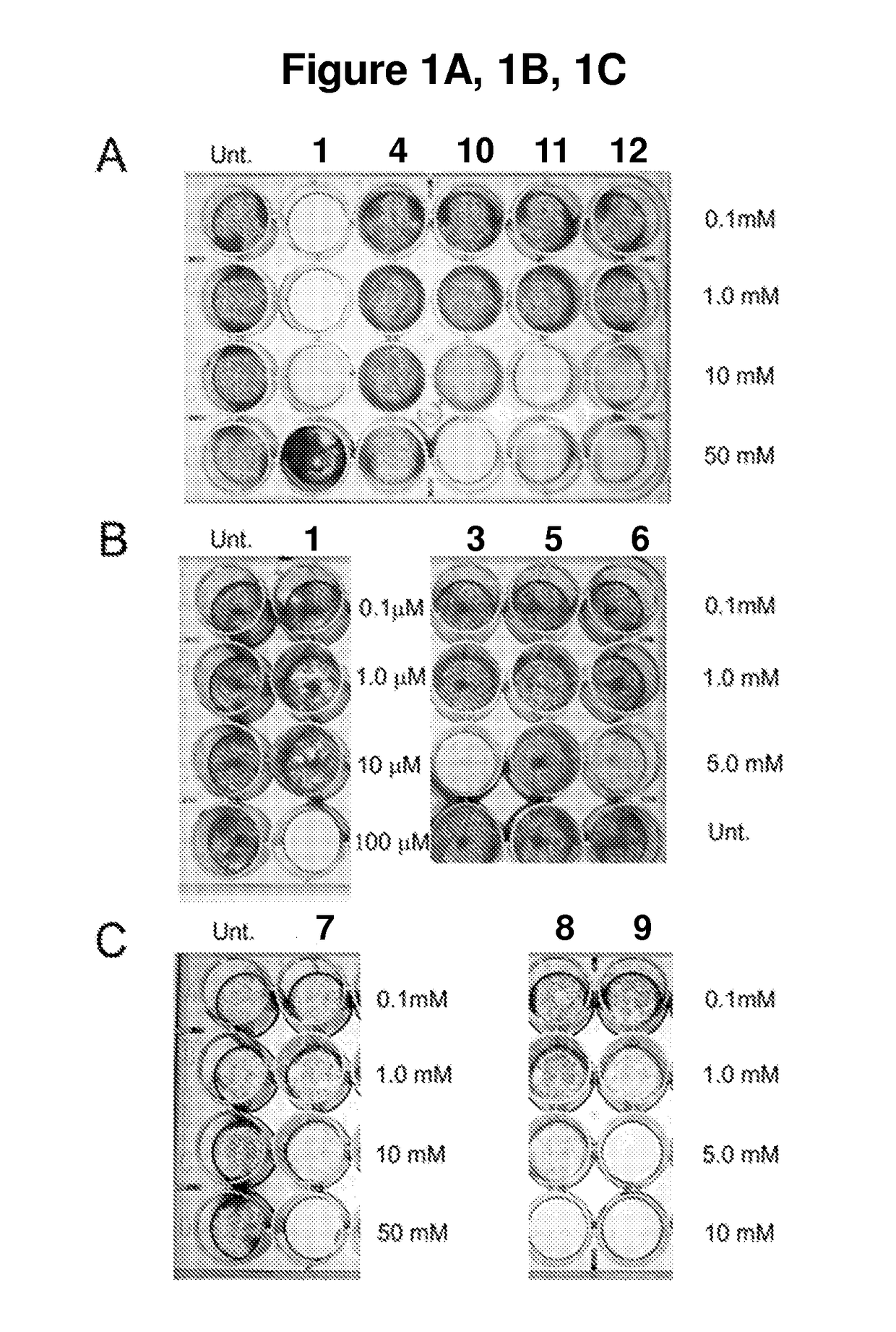 Mitochondrial inhibitors for use in culturing pluripotent stem cells