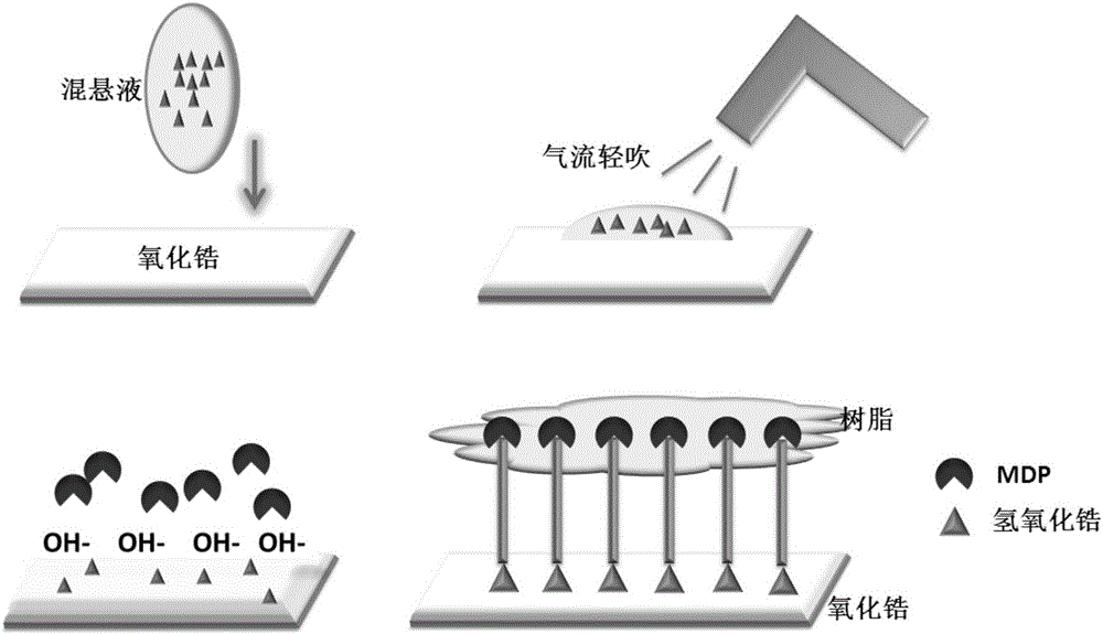 Application and preparation method of alkaline coating on surface of dental zirconia ceramic