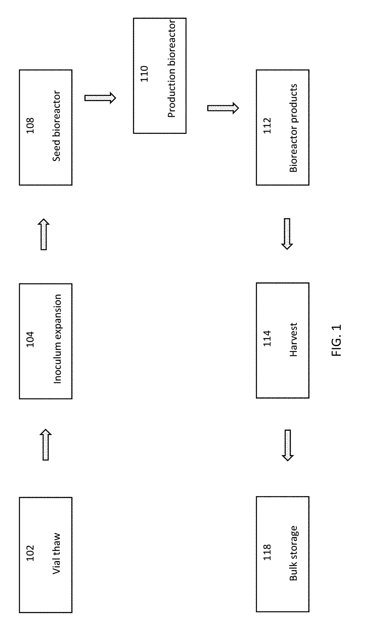 Excipient compounds for protein processing