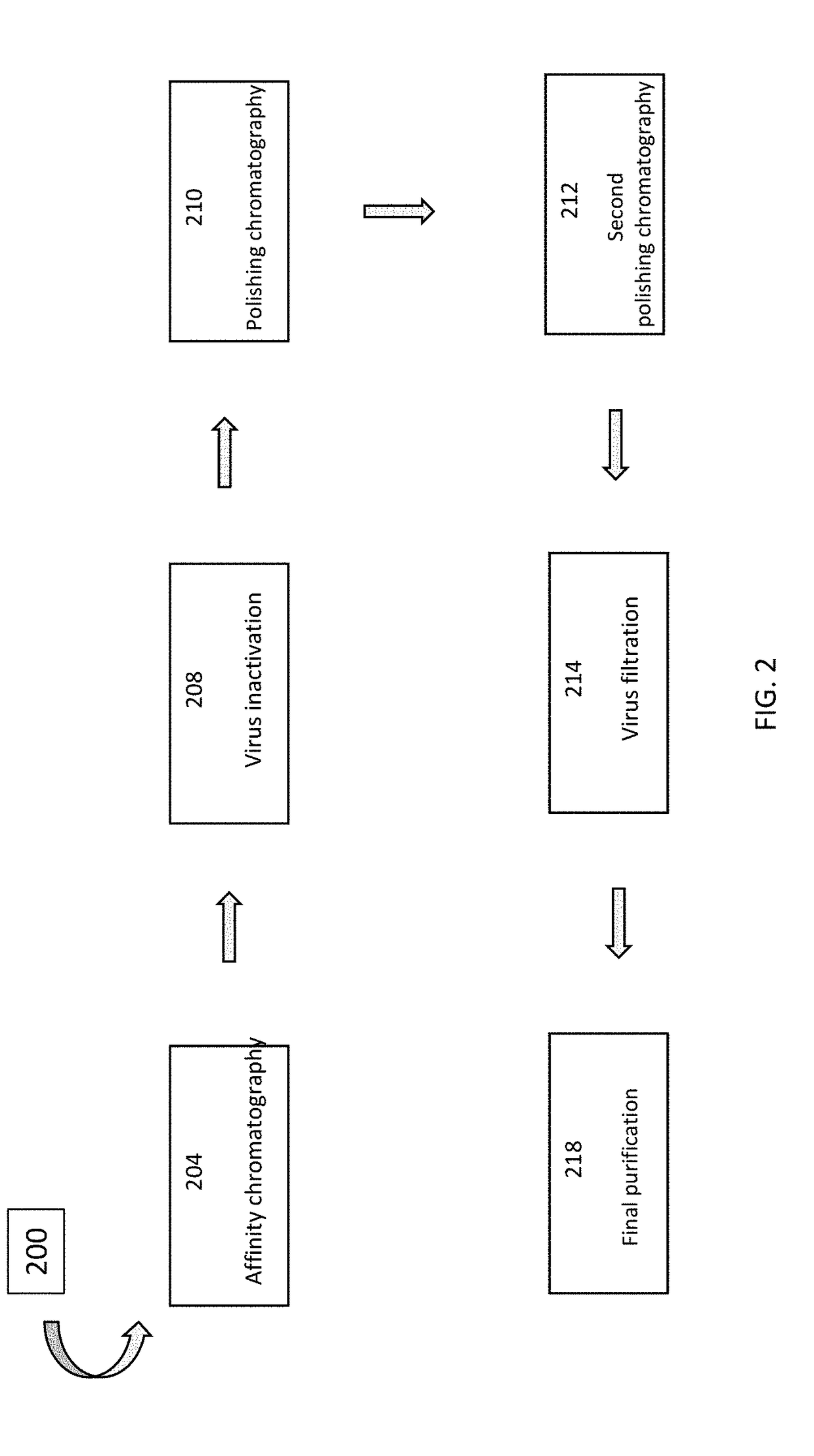 Excipient compounds for protein processing